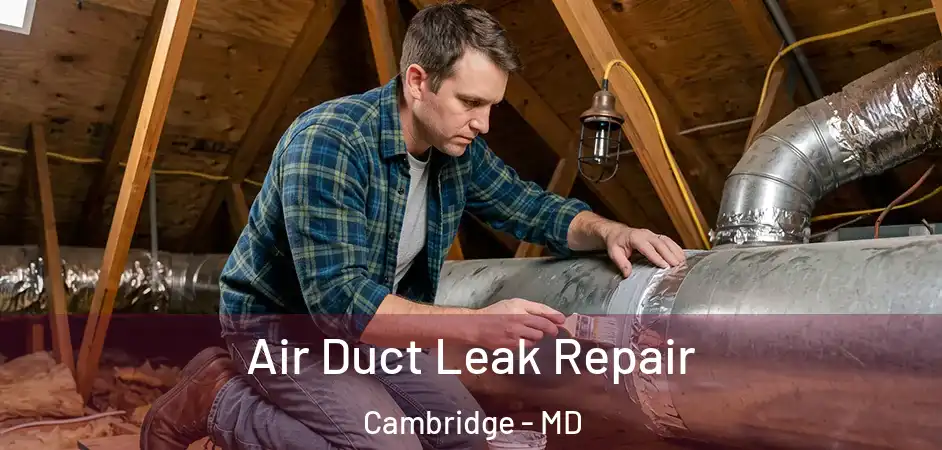  Air Duct Leak Repair Cambridge - MD