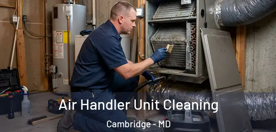 Air Handler Unit Cleaning Cambridge - MD