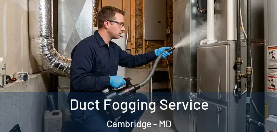  Duct Fogging Service Cambridge - MD