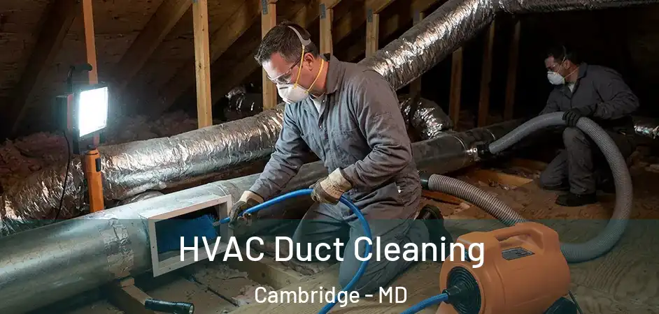  HVAC Duct Cleaning Cambridge - MD