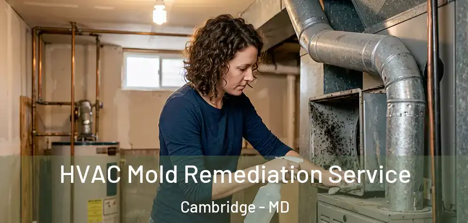  HVAC Mold Remediation Service Cambridge - MD