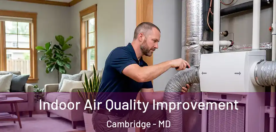  Indoor Air Quality Improvement Cambridge - MD
