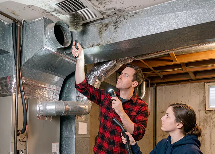 Premier HVAC Mold Remediation Company in Cambridge