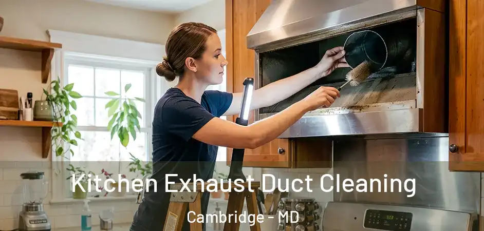  Kitchen Exhaust Duct Cleaning Cambridge - MD