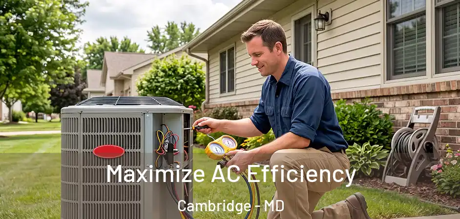 Maximize AC Efficiency Cambridge - MD